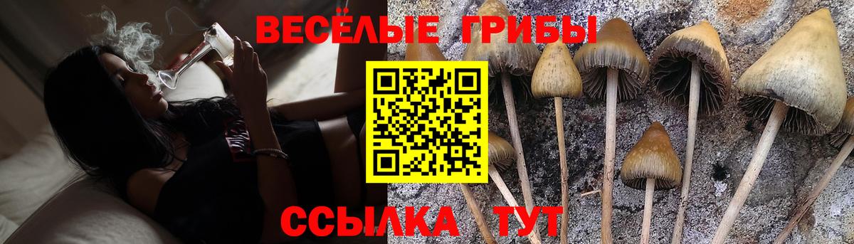 Галлюциногенные грибы Magic Shrooms Можга
