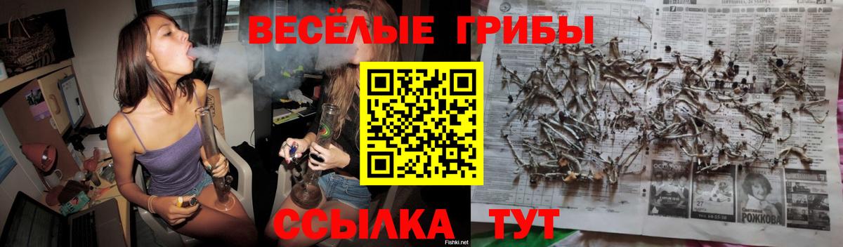 Экстази  Вход с VPN  Каннабис  COCAIN  Можга  МЕФ   ГАШ  МДМА  Кодеин 