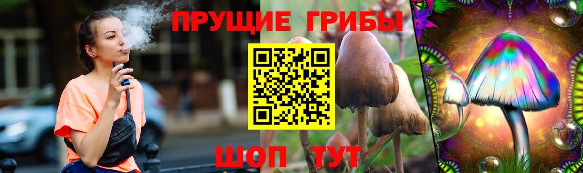 Можга  Псилоцибиновые грибы мицелий  хочу   Вход с VPN 
